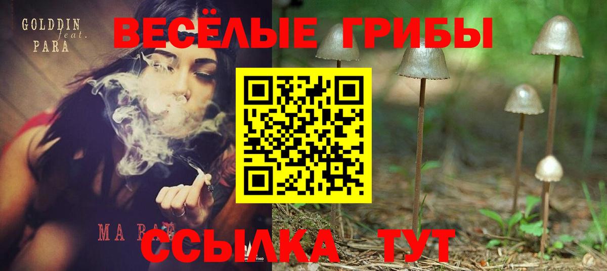 Псилоцибиновые грибы Psilocybe  Вход с VPN  Павловский Посад 